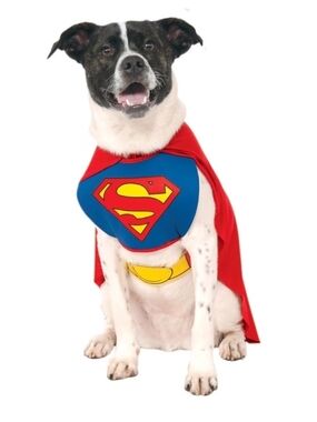 XL DC Superhero Dog Cape and Chest Piece in Red, Blue, Yellow